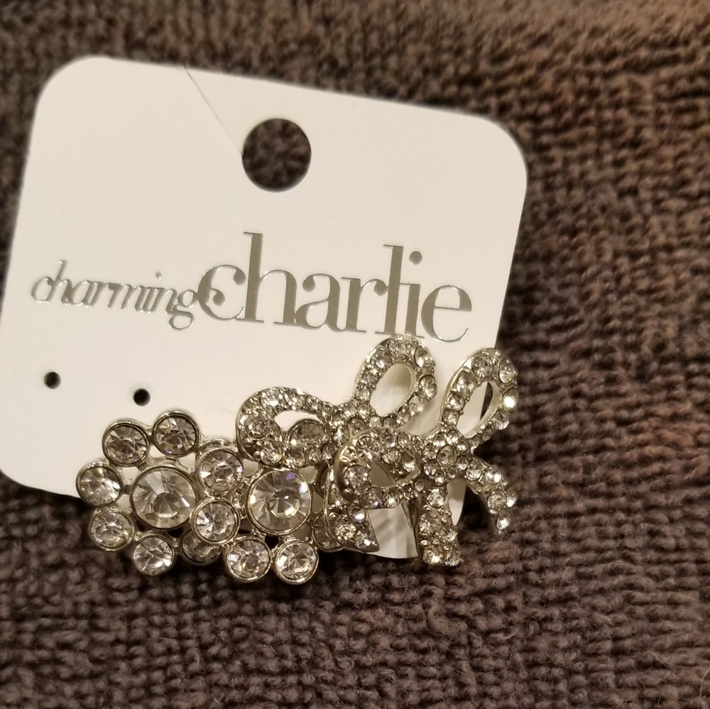 Charming Charlie earring set